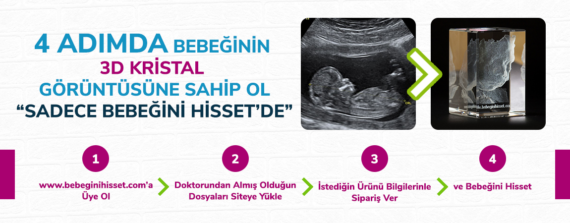bebek2